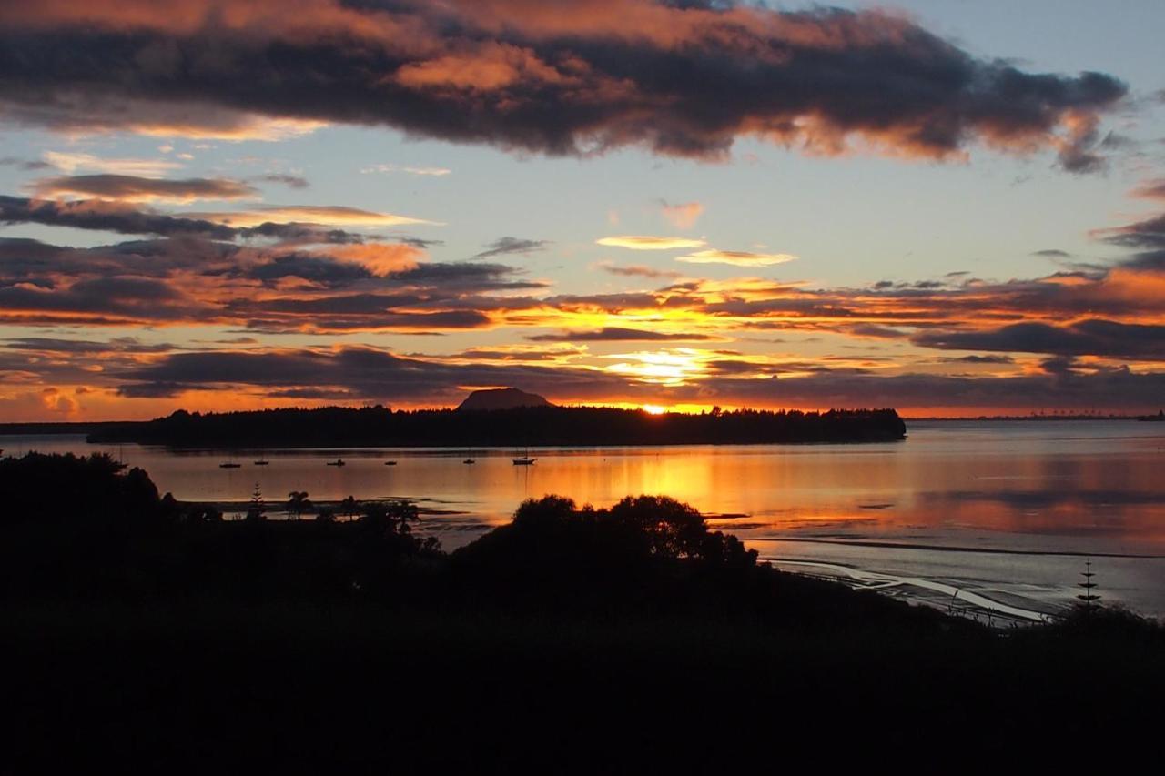 Mangawhai Bay B&B Omokoroa 외부 사진